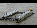 Cleaning Up The Thames: Success or Failure? - Professor Carolyn Roberts