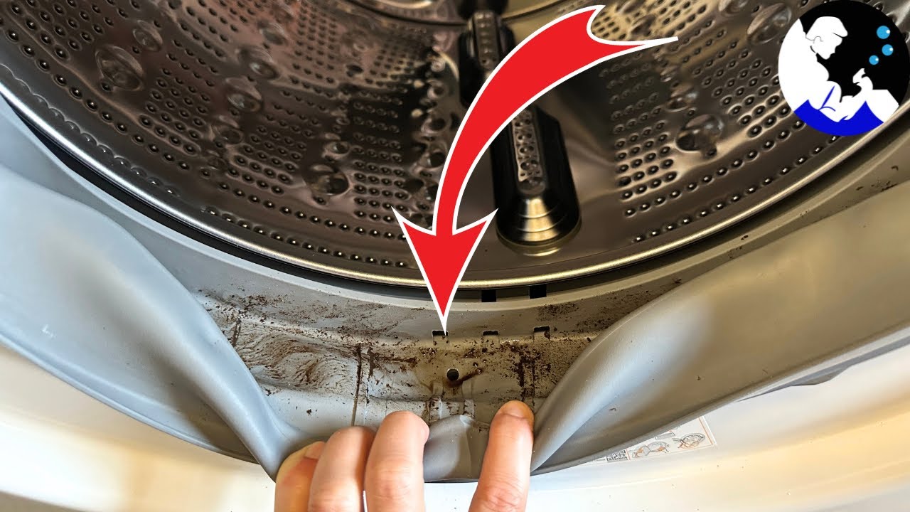 MOLDY WASHER MACHINE! EXTREME CLEANING