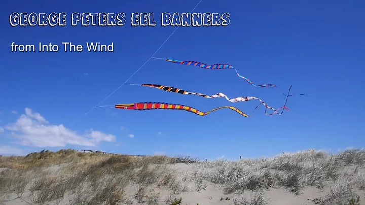 George Peters Eel Banners from Into The Wind