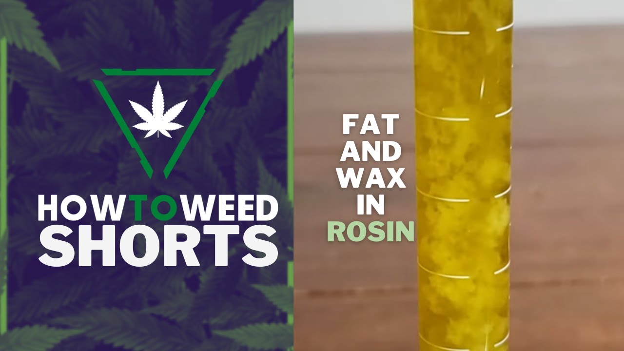 Rosin has FAT and WAX: Look how much!