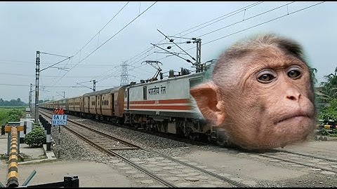 Monkey Face Malda Town Intercity Express Train Dangerous Moving Out Railgate