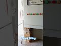 Panel Fitting and. Solar Panel Fitting ka Sahi Tarika #motor #electricpower