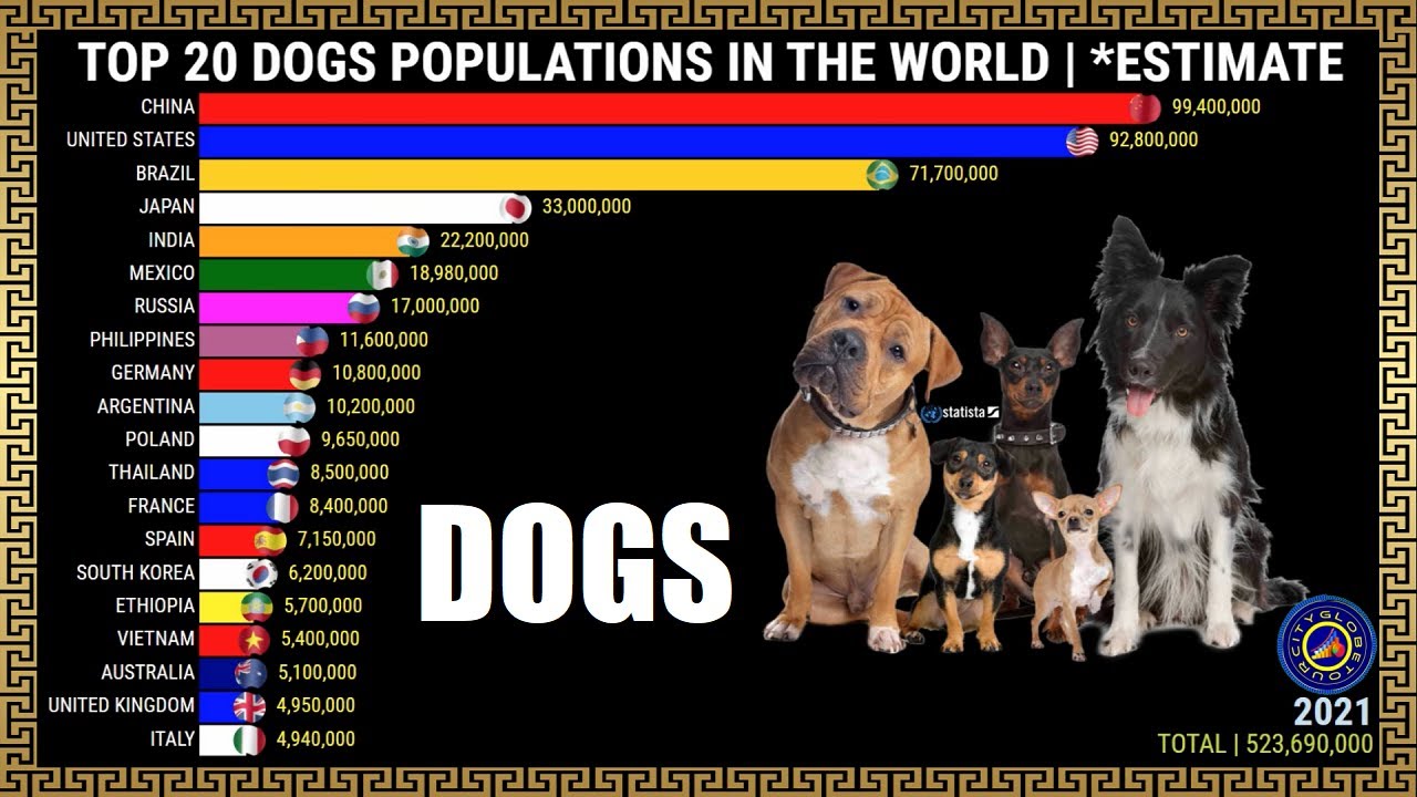 Top Dogs Populations in the World YouTube