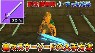 【ティアキン】序盤から入手できる裏マスターソードがヤバすぎる【ゼルダの伝説 ティアーズ オブ ザ キングダム】 screenshot 4