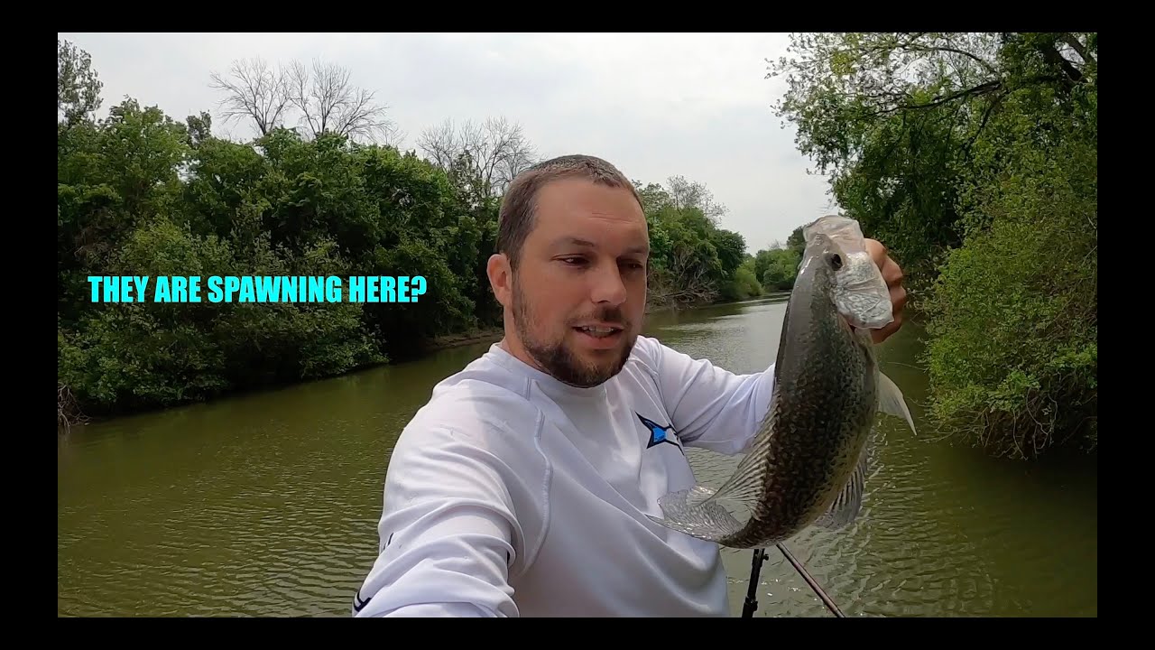 You WONT believe WHERE I found these CRAPPIE SPAWNING RIGHT NOW! Don't see this OFTEN!