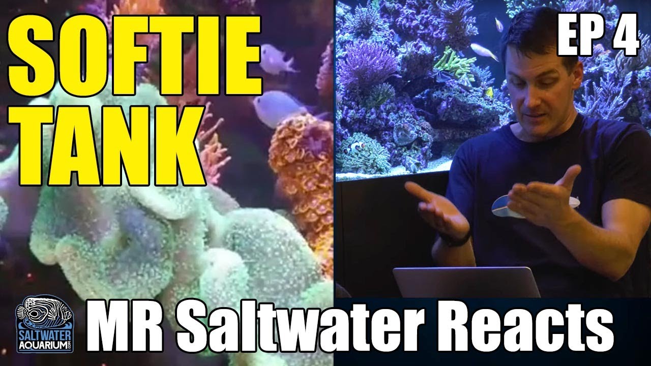 Saltwater Aquarium TANK BUILD - 4 Side Walk Around Soft Coral Tank