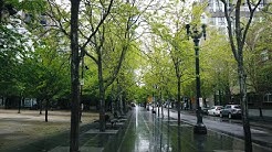 Pearl District Portland, OR during Pandemic 4K Street Walking Tour in the Rain 2020