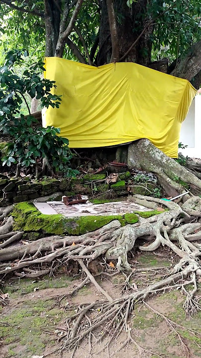 HEBOH, BERTAPA SAMPAI BERLUMUT DIPUNCAK GUNUNG
