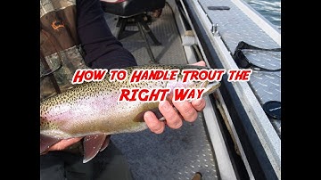 How to Handle Trout the RIGHT Way