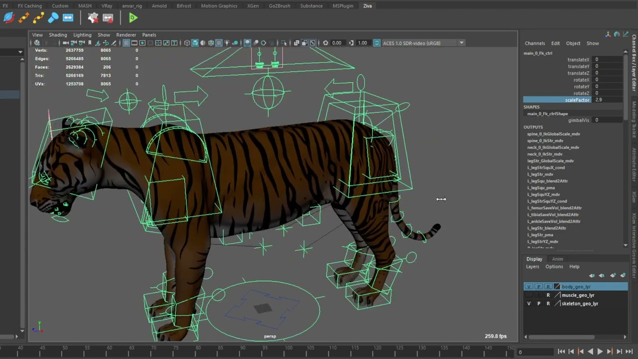 tiger body and face rig demo