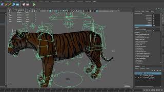 tiger body and face rig demo