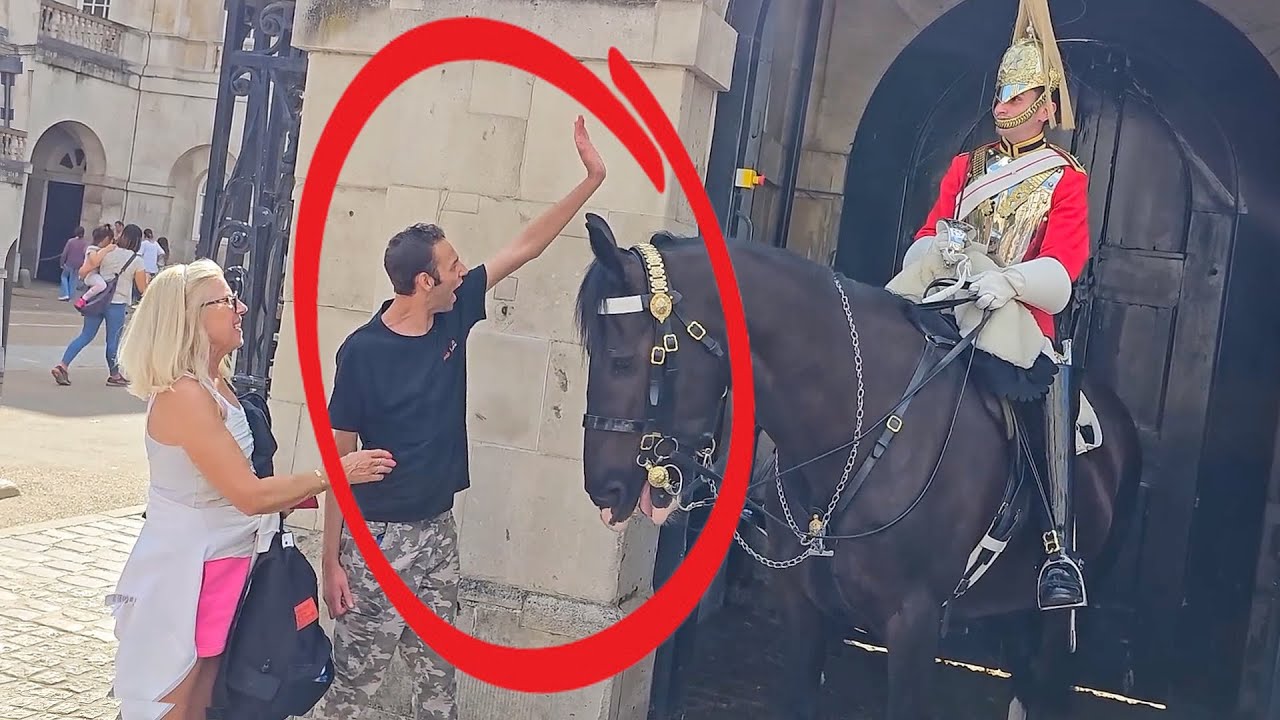 An Unforgettable Moment Between a King’s Guard and a Special Needs Teen