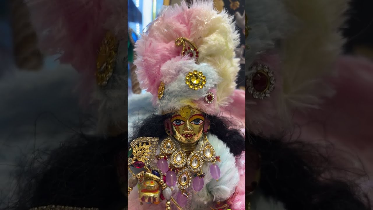 🌺🌼Jai shree krishna🌼🌺