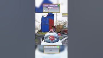 PPSh-41 Attachment #codm #codmedit