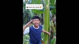 Salam Dari Binjai Yang Lagi Viral