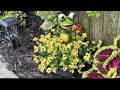 Realistic Flowers for Areas With No Sun