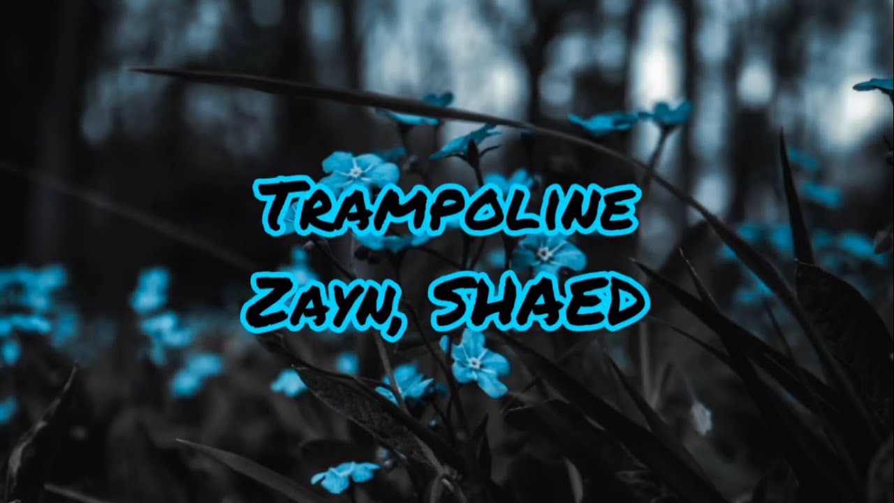Zayn, SHAED Trampoline (lyrics) YouTube