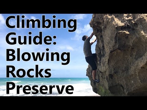 Blowing Rocks Preserve Tide Chart