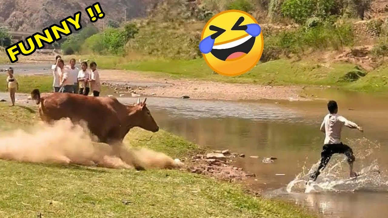 Самые безумные и смешные видео в мире. УРОВЕНЬ 32. Уморительные видео. Попробуй не засмеяться. Че...