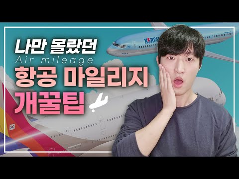 아시아나 마일리지로 일등석 타는 법+ 대한항공 마일리지 사용 꿀팁까지🍯