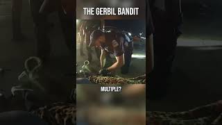 The Gerbil Bandit #bodycamgame #funny #bizzare #ohio #news