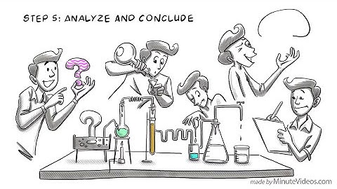 The Scientific Method: Steps, Examples, Tips, and Exercise