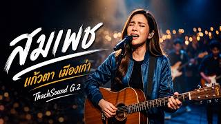 สมเพช - แก้วตา (เมืองเก่า) [ Audio] | เพลงอกหัก คนเคยทิ้งกลับมาวันโดนทิ้ง | Thach Sound G.2