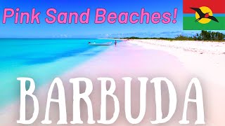 Barbuda Top Place to Visit (Detailed Travel Guide)