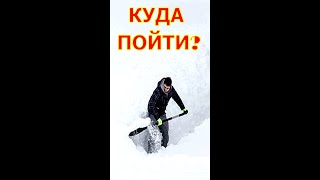 прогулка по тропам #shorts