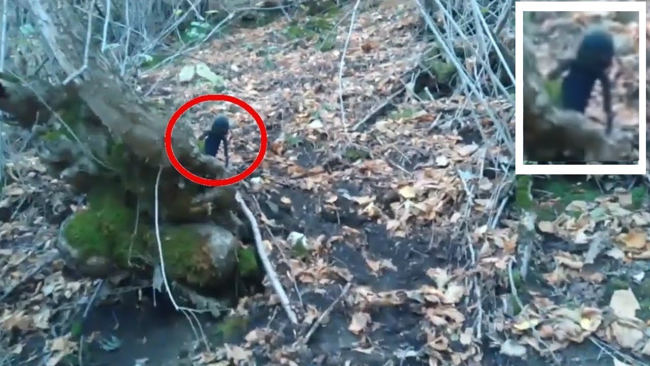 ЧТО ЭТО ИНОПЛАНЕТЯНИН СТРАННОЕ СУЩЕСТВО ИЛИ ГНОМ удачно снято на камеру ...