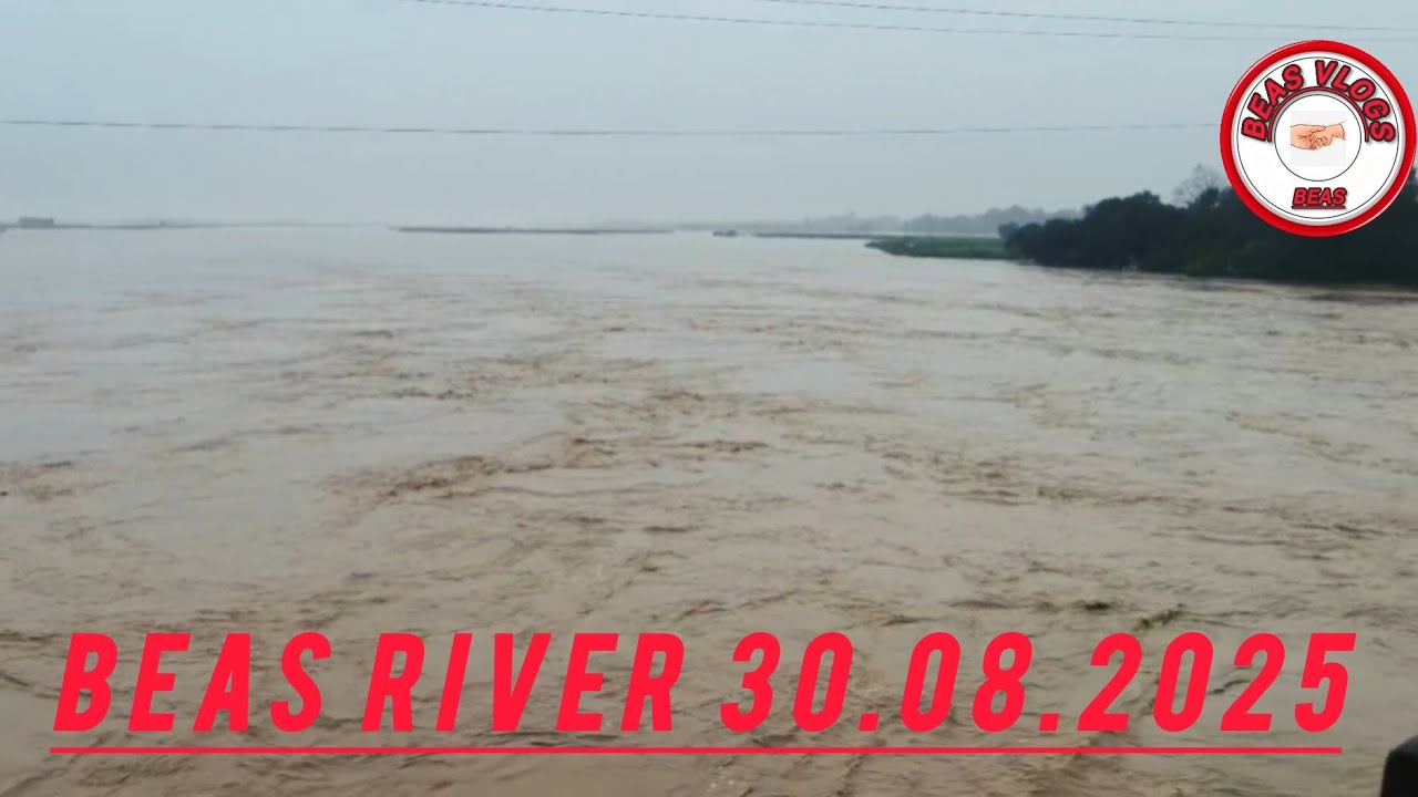 Beas Water level today Pong Dam 