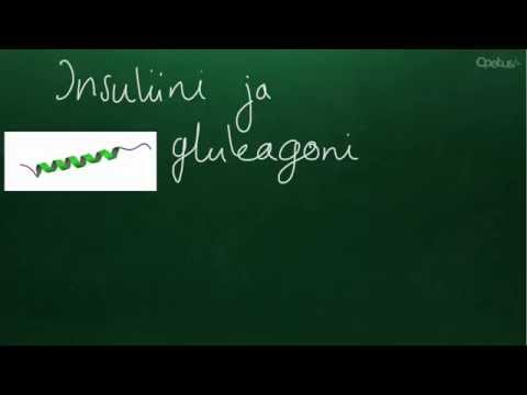 Video: Hypoglykemian Glukoni: Miten Se Toimii