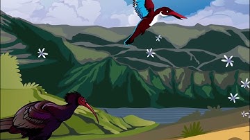 Level 21: Mesopotamia: Land Between Two Rivers