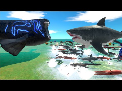 Aquatics Battle -