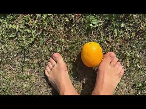 👣 squeeze juice barefoot🍊games