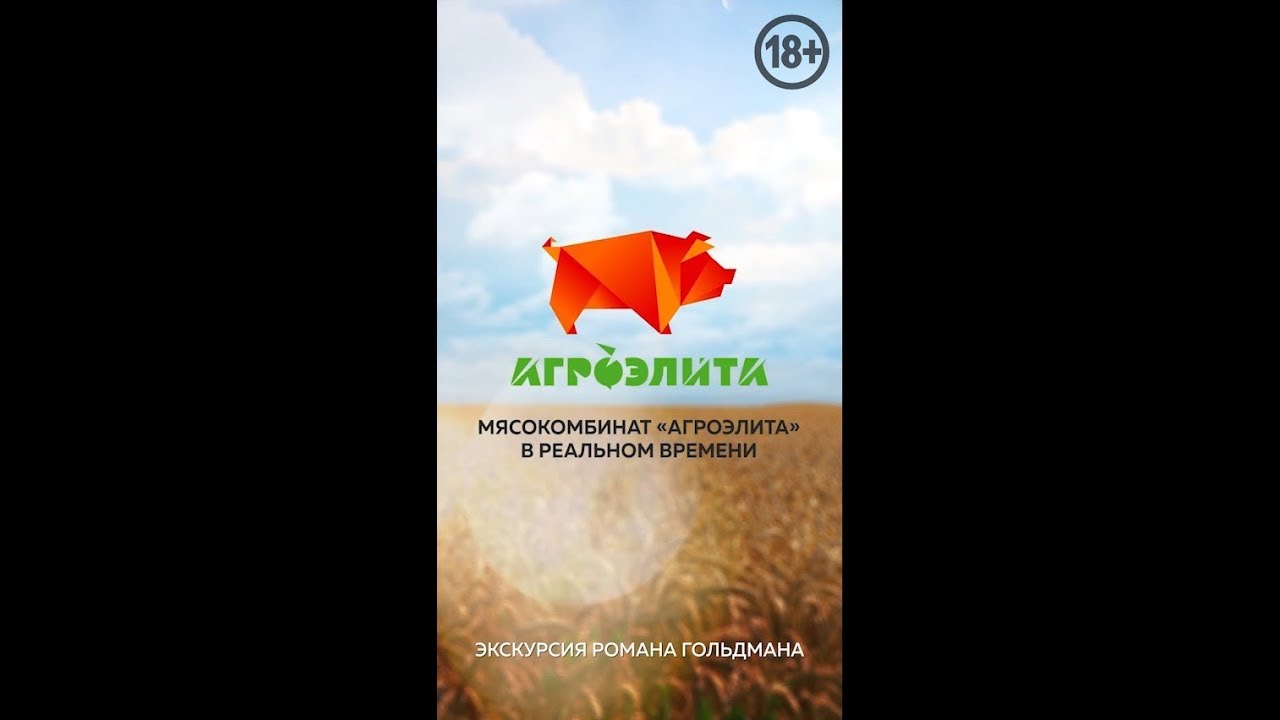 Семена Агроэлита Интернет Магазин