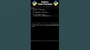 Python: Remove Leading and Trailing White spaces from a String [How To]