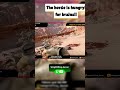 Will I survive this zombie onslaught?