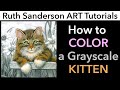 Coloring Fur and a Grayscale Kitten