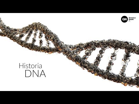 Wideo: Ocena Wielogenowego środowiskowego Podejścia DNA Do Oceny Różnorodności Biologicznej