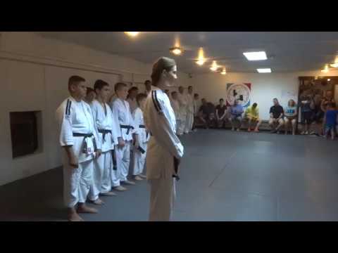 Klub realnog aikidoa i jujutsu Novi Sad Polaganje za zvanja jun 2017 III i IV grupa odrasli 29/30