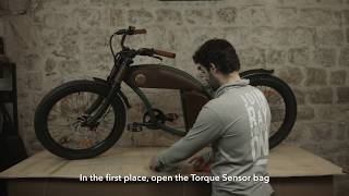 Rayvolt Bike - Torque Sensor installation