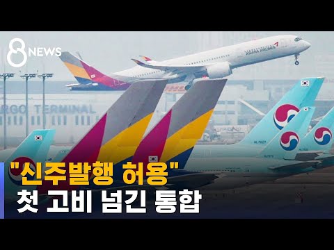 "신주 발행 허용"…'아시아나 인수' 첫 고비 넘겼다 / SBS