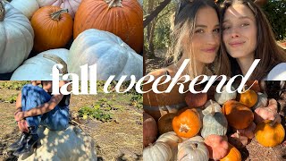 fall weekend in napa | wine tasting, pumpkin patch & monday work/reset routine