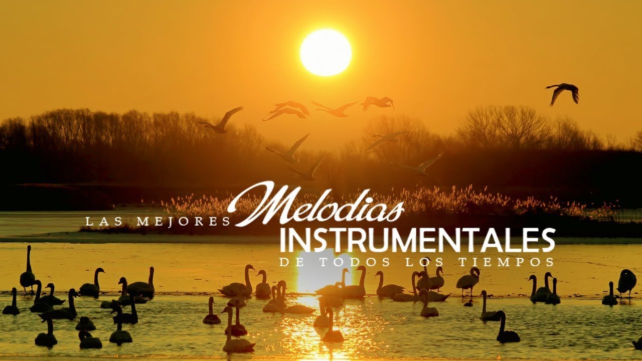 Las 100 Grandes Exitos Instrumentales De Oro - Musica Instrumental de ...