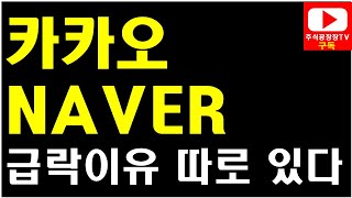 [주식] 카카오, NAVER 급락 이유는 따로 있다!!!