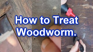 How to Check for and Treat Woodworm.