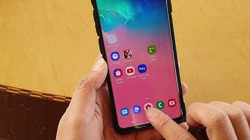 Galaxy S10 / S10+: How to Set Internet Default Home Page Website