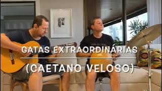 Gatas Extraordinárias (Caetano Veloso) - Cássia Eller