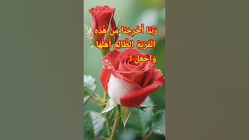 #قران_كريم #سورة #النساء ؛ ۞ فَلْيُقَاتِلْ فِي سَبِيلِ اللَّهِ الَّذِينَ يَشْرُونَ